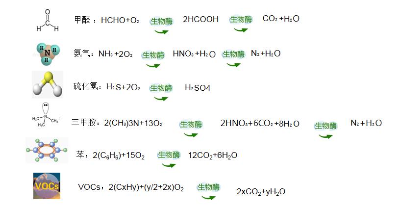 福赛生物酶净化分解技术助力空气治理健康安全升级