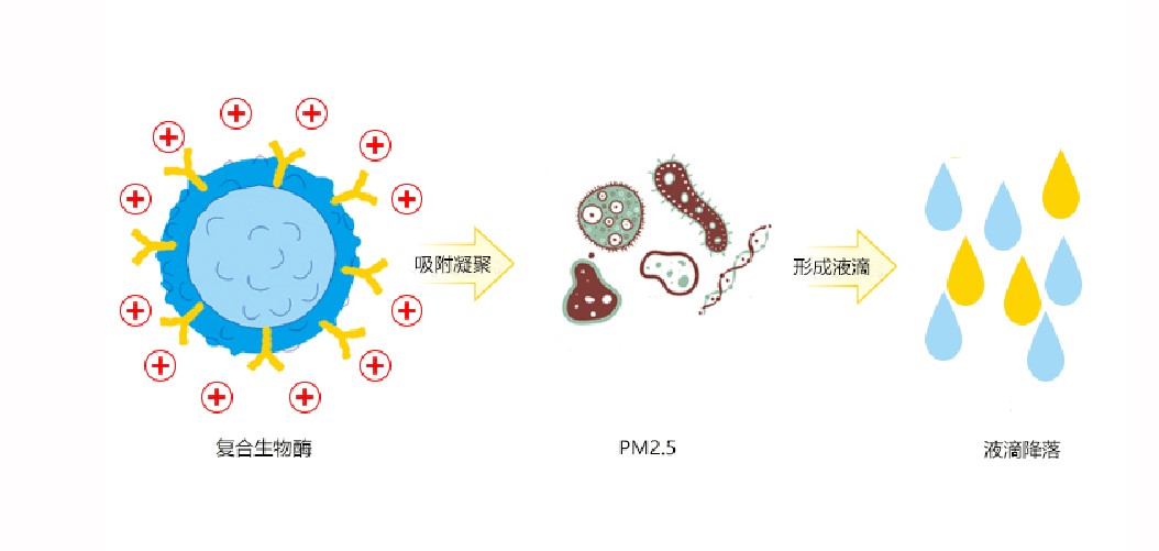 福赛生物科技PM2.5治理剂原理