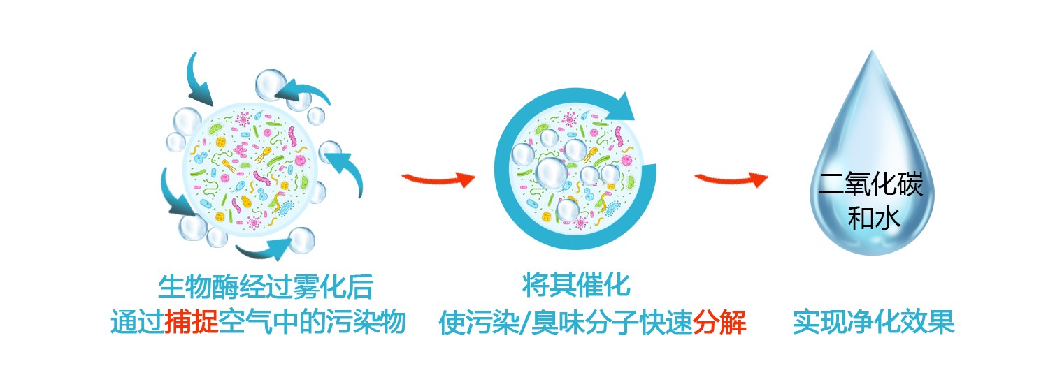 生物酶除臭液治理空气污染的原理